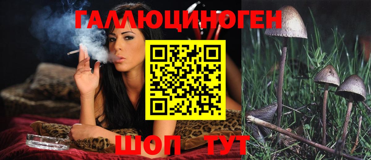 Бердск  купить наркоту  Псилоцибиновые грибы Psilocybe  Вход с VPN  Псилоцибиновые грибы прущие грибы 